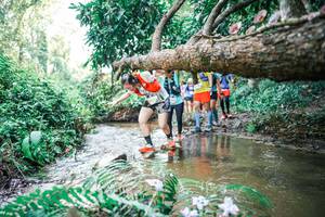 BIB: 
                            <button type="button" onclick="openModal(25475346)" class="btn btn-primary btn-sm float-right btn-popup" data-toggle="modal" data-target=".modal-high-quality">
                        <i class="fas fa-shopping-cart"></i> Add to Cart
                    </button>
                                            <button type="button" onclick="isThisMe(25475346, true)" class="btn btn-success btn-sm float-right btn-popup btn-isme hidden" data-toggle="tooltip" data-placement="bottom" title="นี่คือรูปของคุณใช่ไหม คลิกที่นี่เพื่อเอาเข้าอัลบั้ม">
                        <i class="fas fa-plus"></i> Add to album
                    </button>
                    <button type="button" onclick="isThisMe(25475346, false)" class="btn btn-warning btn-sm float-right btn-popup btn-isnotme hidden">
                        <i class="fas fa-ban"></i> Remove from album
                    </button>